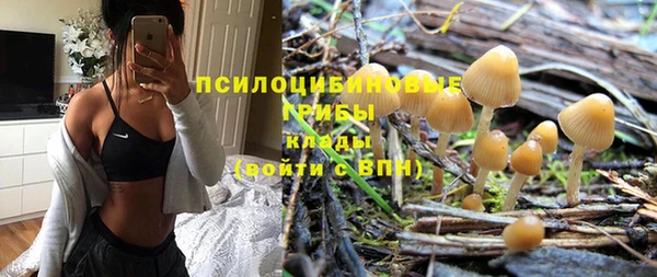 ешки Вязьма