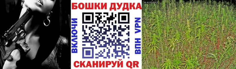 Каннабис AK-47  купить закладку  Звенигород 